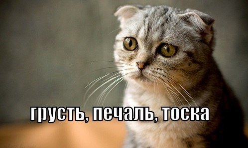 http://s5.pikabu.ru/images/big_size_comm/2014-05_2/13993621026749.jpg