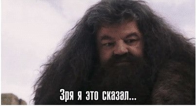 14118905105562.jpeg
