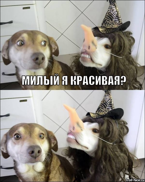 http://s5.pikabu.ru/images/big_size_comm/2015-12_4/1450440490193546032.jpg