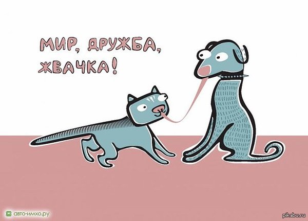 Скачать сериал Сладкая жизнь - 2 сезон на телефон 4