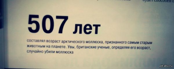 Ох, уж эти британские учёные статья в журнале :)  британские ученые, статья, моллюск, м:, баян