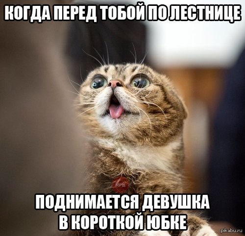1397189067_703569984.jpg