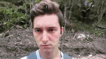1397655505_424136280.gif