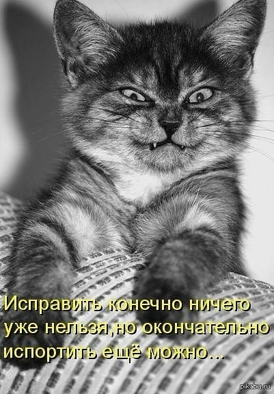 1397710224_431625569.jpg