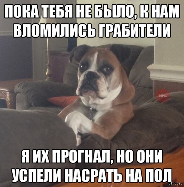 http://s5.pikabu.ru/post_img/2014/04/17/8/1397736108_364776473.jpg