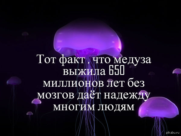 Медуза даёт надежду Извиняюсь если баян  медуза, надежда, Картинка