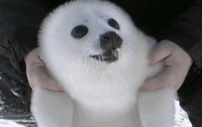 1398052209_1601383326.gif