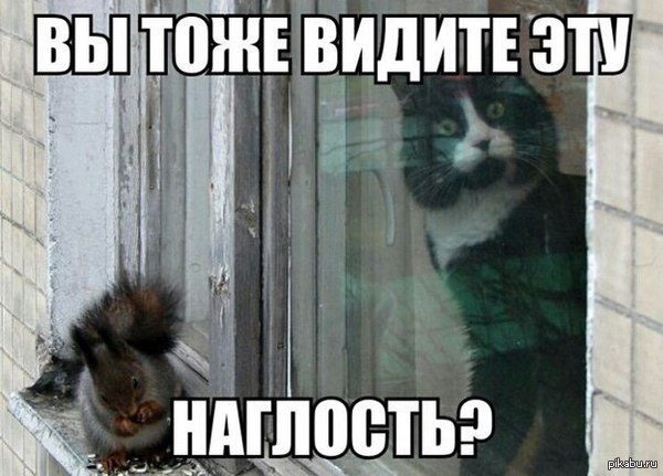 1399211737_1764268113.jpg