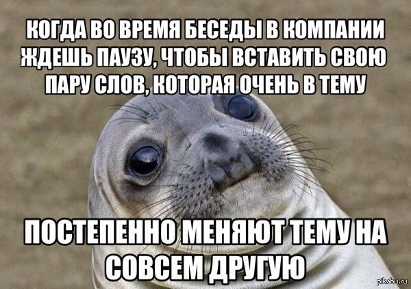 Я очень застенчив и воспитан,чтобы перебивать людей   тюлень, друзья, компании