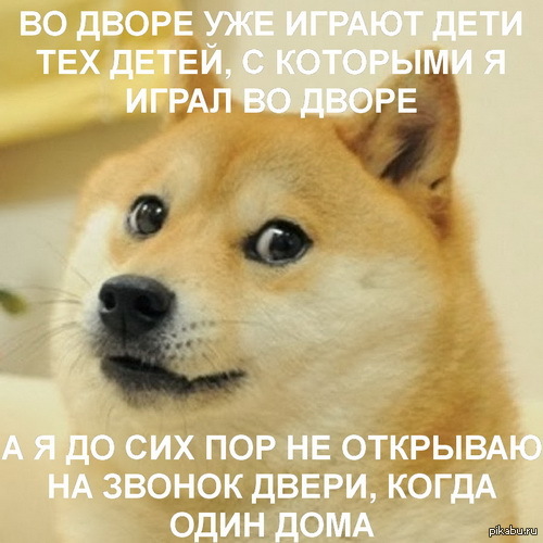 1401868422_1409738627.jpg