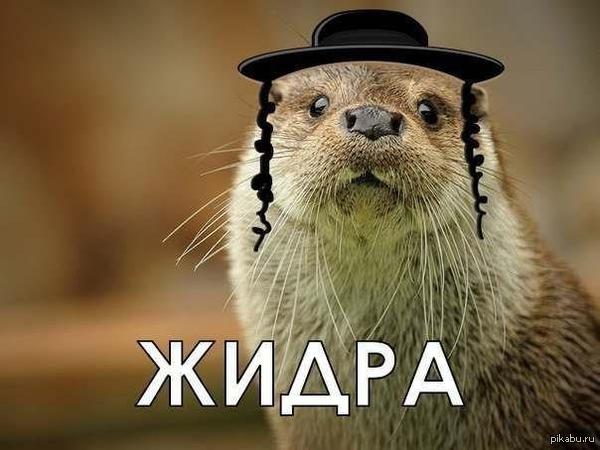 1408996918_879927753.jpg