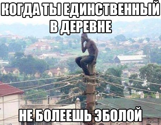 1412351342_1600123634.jpg