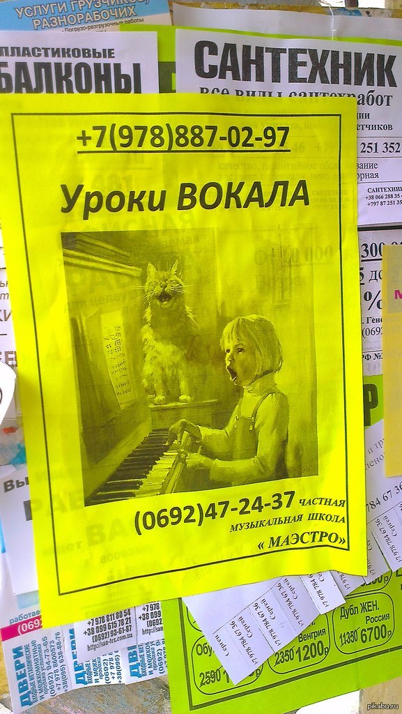 1414593798_176889537.jpg