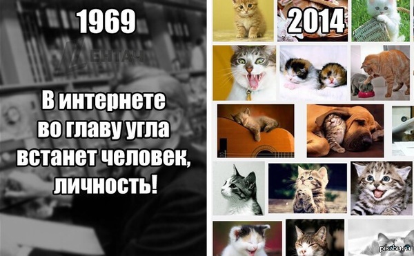 1414663988_401039773.jpg