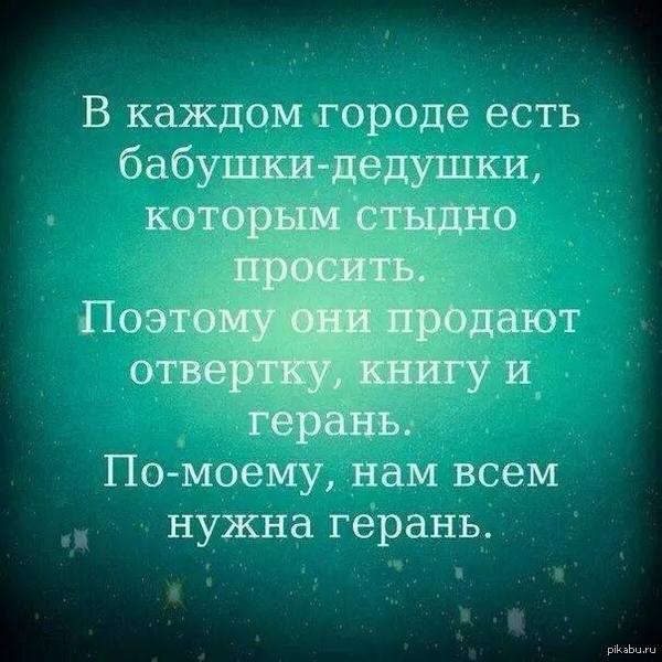 А если подумать!   жизнь, боль, герань