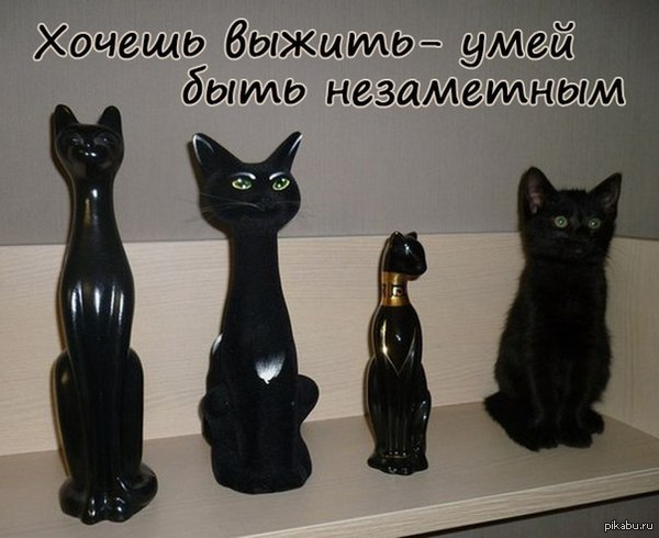 1417030096_1662236667.jpg
