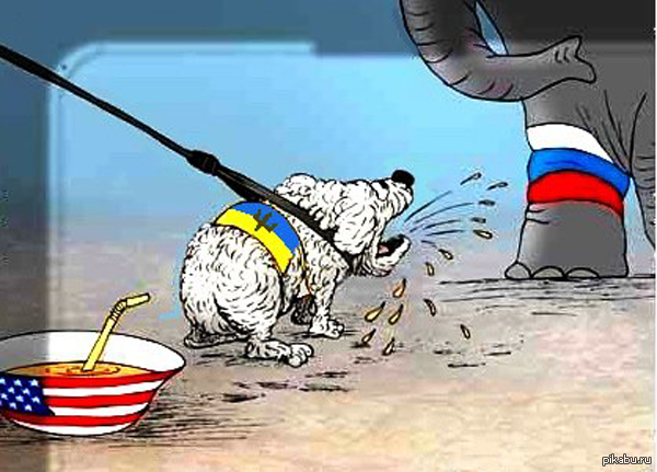 Картинки по запросу Карикатура украина моська