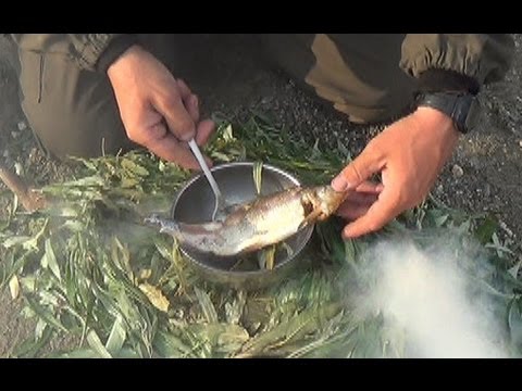 видео приготовление рыбы на рыбалке видео приготовление рыбы на рыбалке