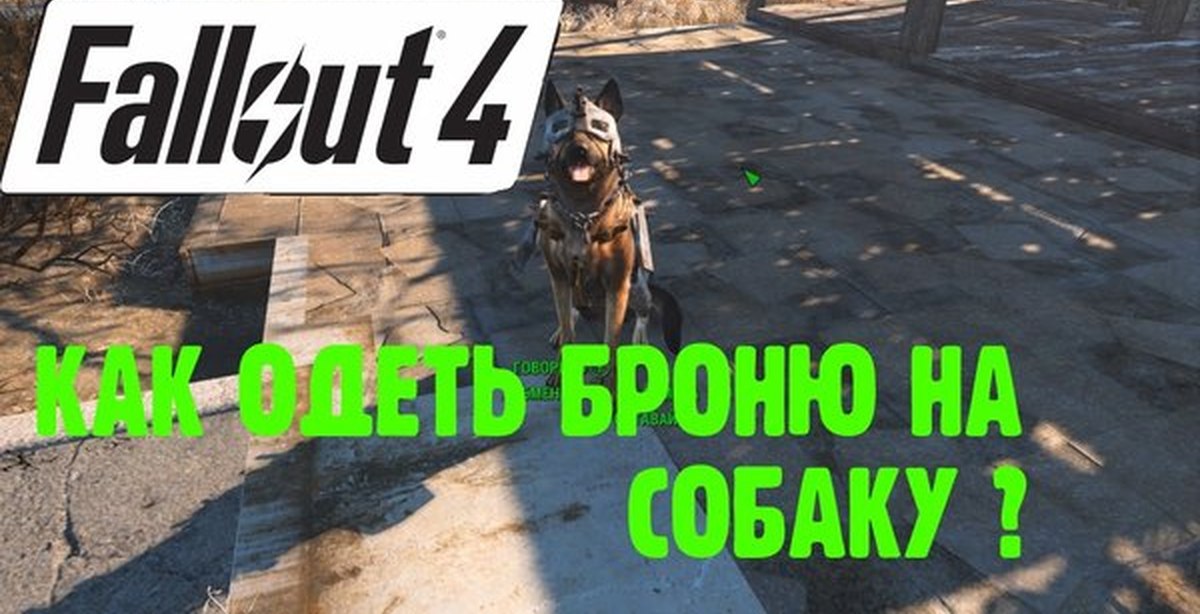 fallout 4 как надеть броню на собаку fallout 4 как надеть броню на собаку