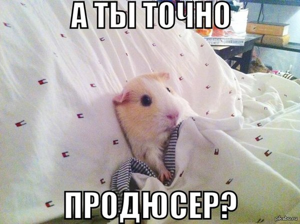 http://s5.pikabu.ru/post_img/2014/03/31/9/1396277834_1420443637.jpg