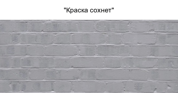 http://s5.pikabu.ru/post_img/2015/11/23/7/og_1448274740_1887249941.jpg